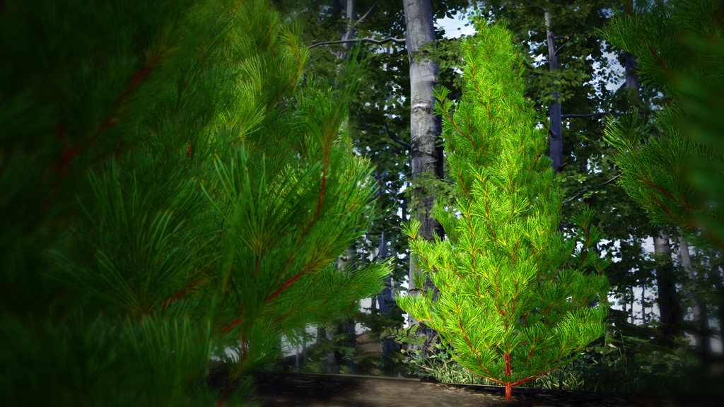 黄金の森の守護者:コウヤマキの3Dモデル