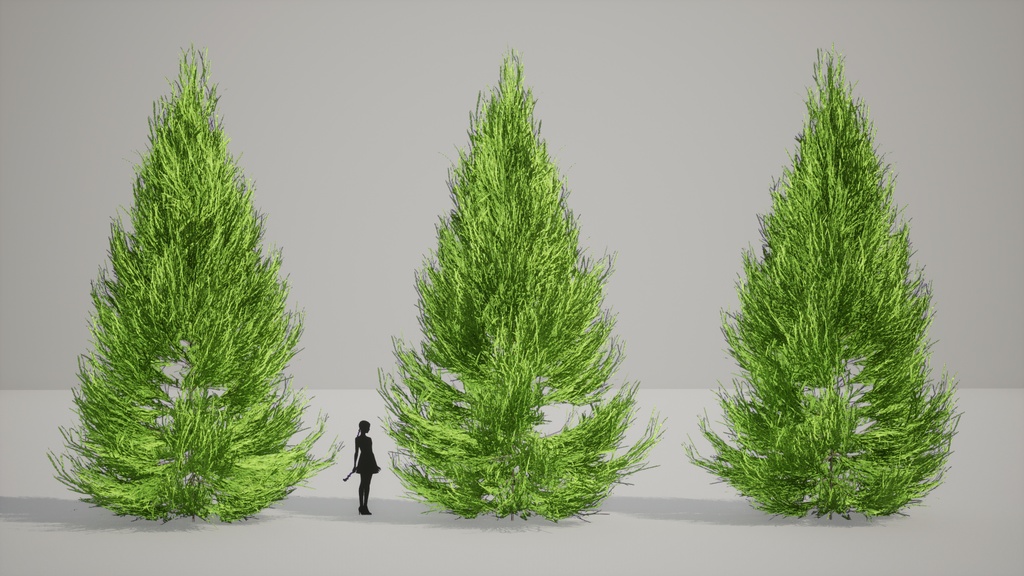 吉野の森の宝:ヨシノスギの3Dモデル