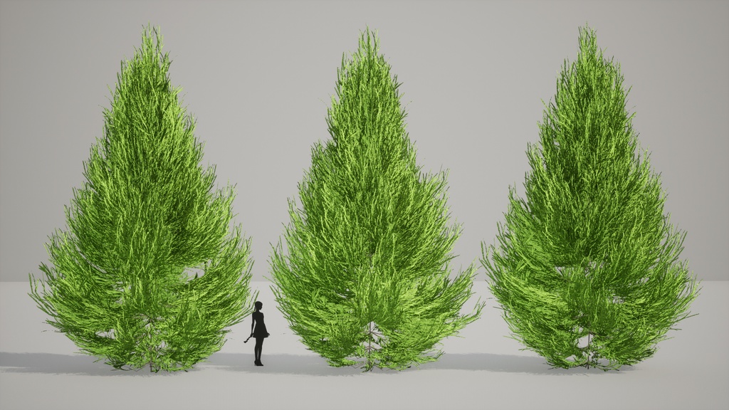 吉野の森の宝:ヨシノスギの3Dモデル