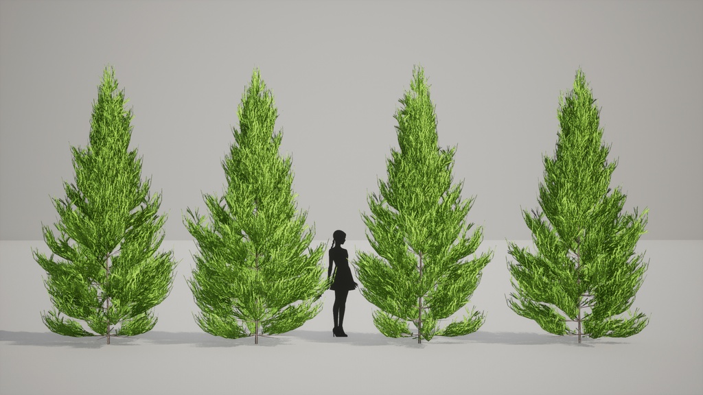 吉野の森の宝:ヨシノスギの3Dモデル