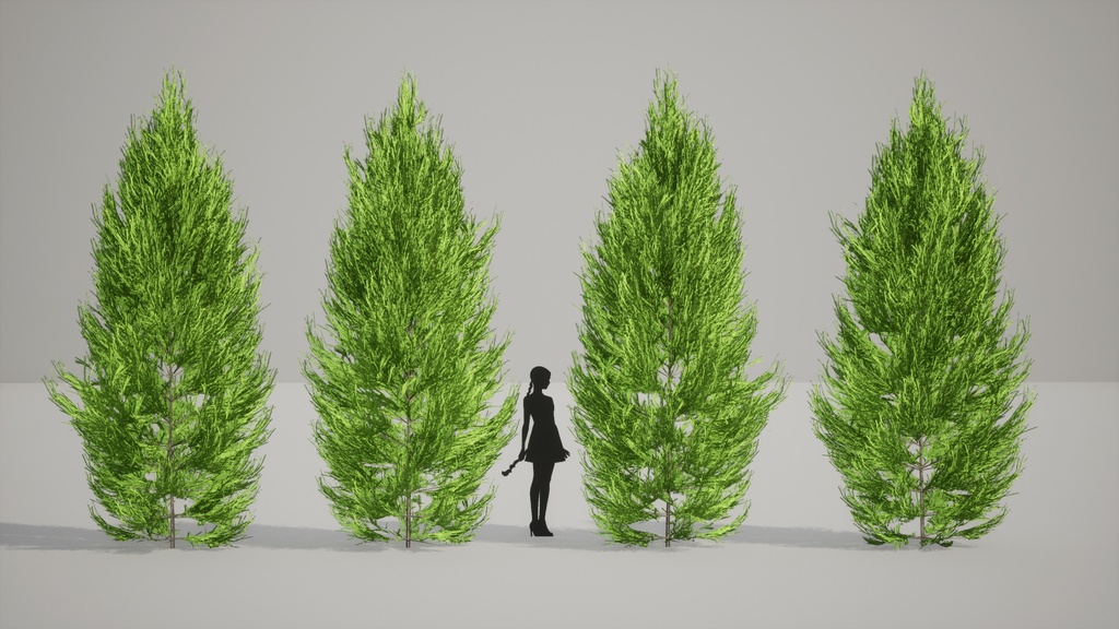 吉野の森の宝:ヨシノスギの3Dモデル