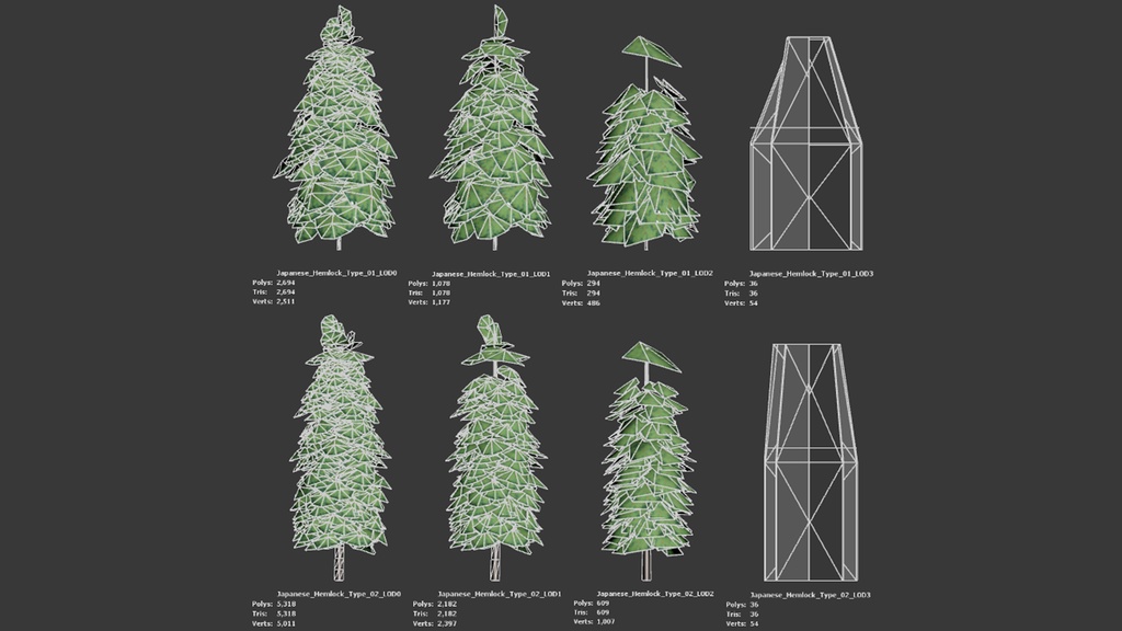 神秘の森の守護者:ツガの3Dモデル