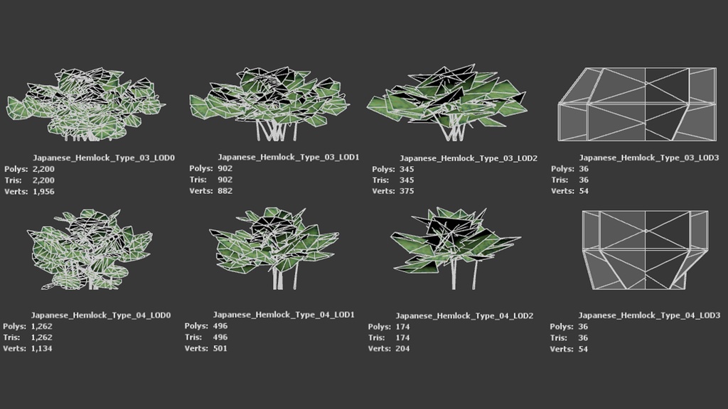 神秘の森の守護者:ツガの3Dモデル