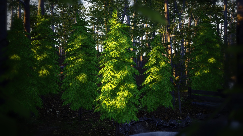 神秘の森の守護者:ツガの3Dモデル