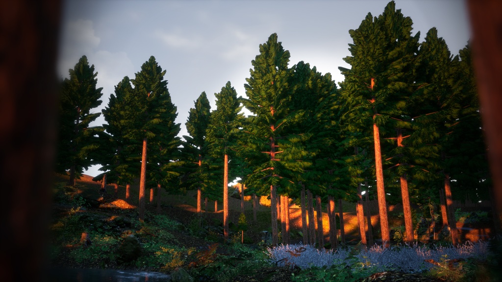 癒しの森の守護者:ヒノキの3Dモデル