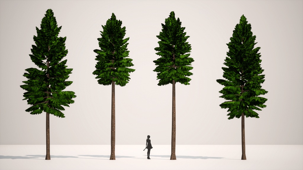癒しの森の守護者:ヒノキの3Dモデル