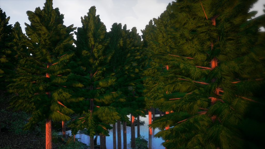 癒しの森の守護者:ヒノキの3Dモデル