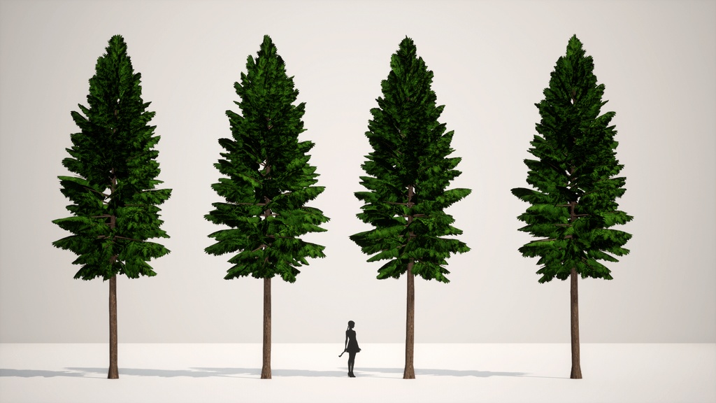 癒しの森の守護者:ヒノキの3Dモデル