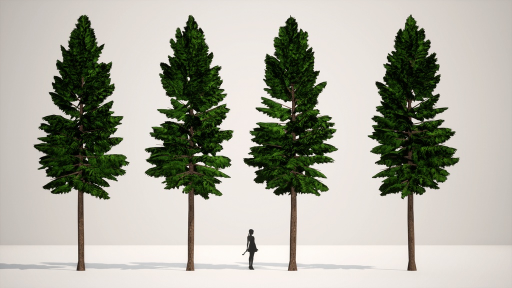 癒しの森の守護者:ヒノキの3Dモデル