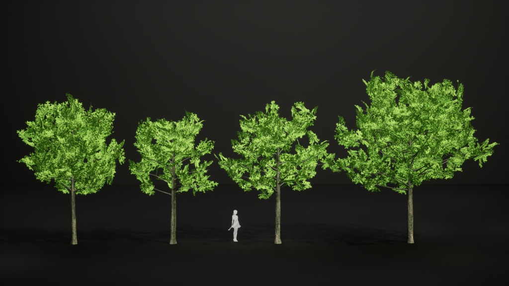 東洋の宝木:ビャクシンの3Dモデル