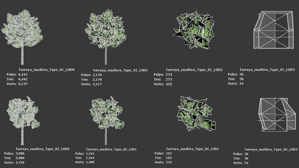 東洋の宝木:ビャクシンの3Dモデル