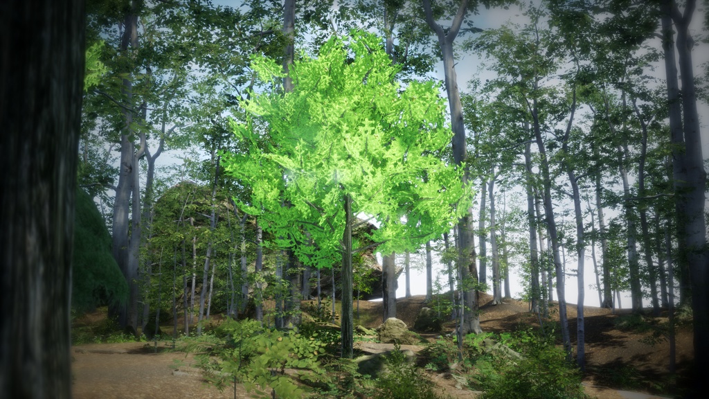 東洋の宝木:ビャクシンの3Dモデル