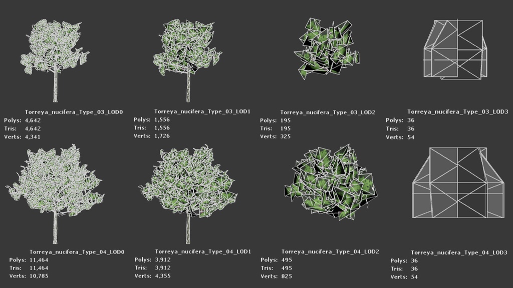 東洋の宝木:ビャクシンの3Dモデル