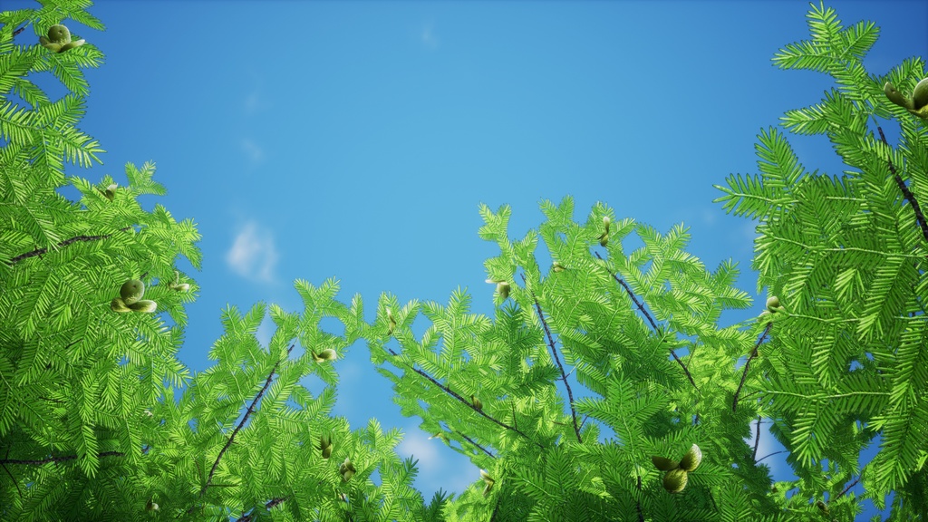 東洋の宝木:ビャクシンの3Dモデル