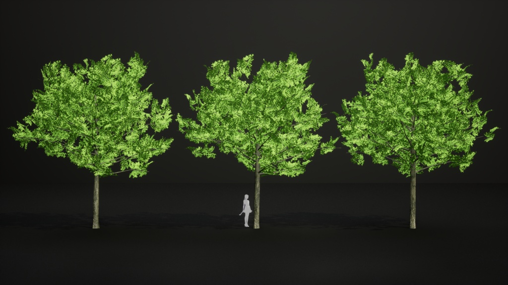 東洋の宝木:ビャクシンの3Dモデル