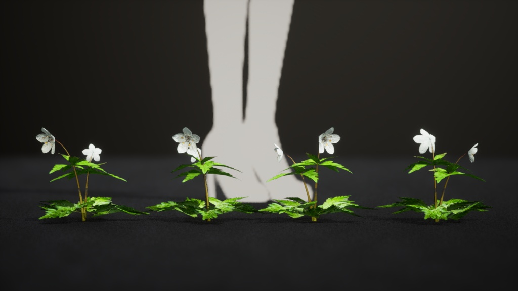 銀の輝き:シロカネソウの3Dモデル