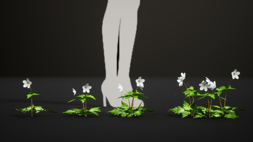 銀の輝き:シロカネソウの3Dモデル