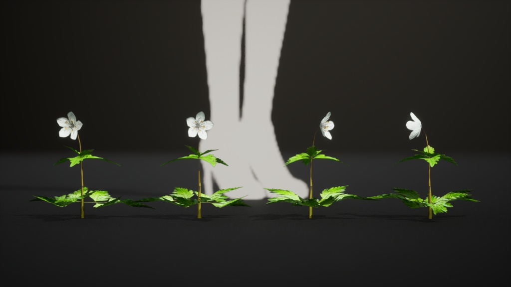 銀の輝き:シロカネソウの3Dモデル