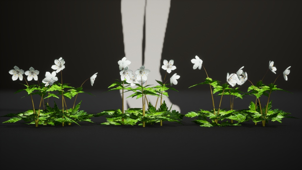 銀の輝き:シロカネソウの3Dモデル