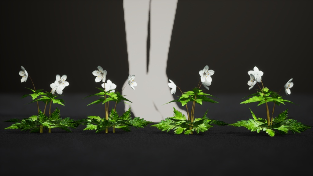 銀の輝き:シロカネソウの3Dモデル