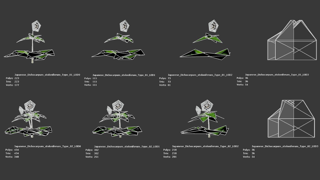 銀の輝き:シロカネソウの3Dモデル
