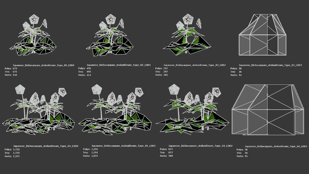 銀の輝き:シロカネソウの3Dモデル