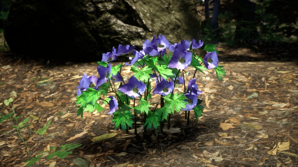 森の宝石:グラウキディウムの3Dモデル