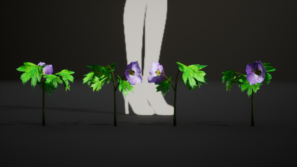 森の宝石:グラウキディウムの3Dモデル