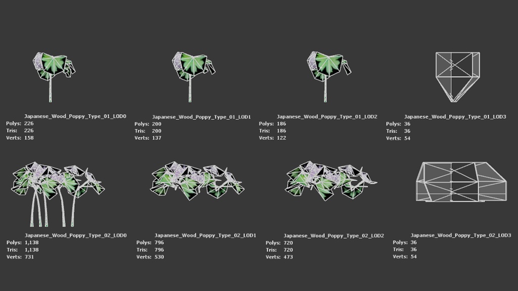 森の宝石:グラウキディウムの3Dモデル