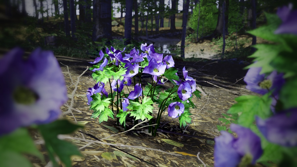 森の宝石:グラウキディウムの3Dモデル