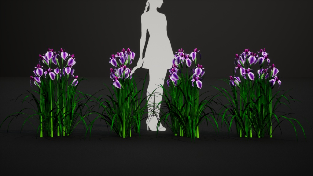 日本の優雅:ハナショウブの3Dモデル