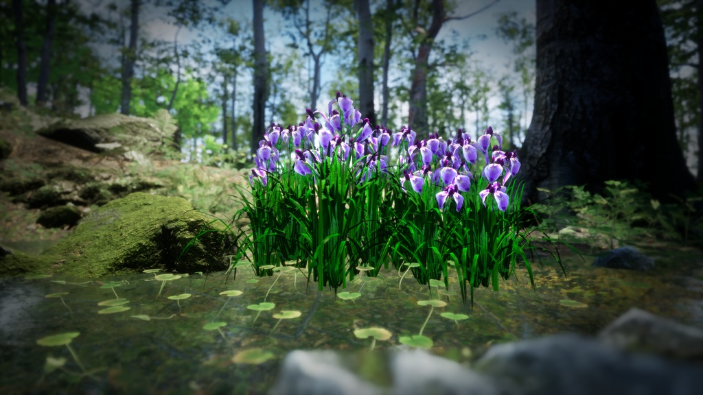 日本の優雅:ハナショウブの3Dモデル