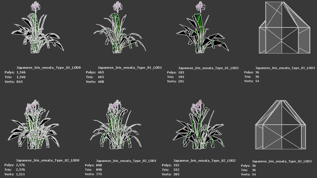 日本の優雅:ハナショウブの3Dモデル