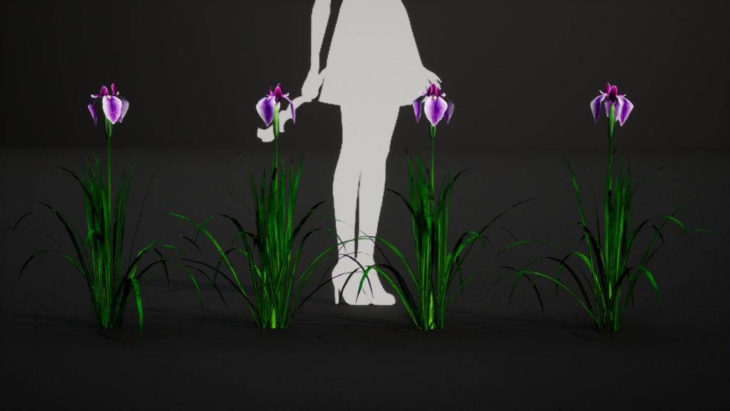 日本の優雅:ハナショウブの3Dモデル