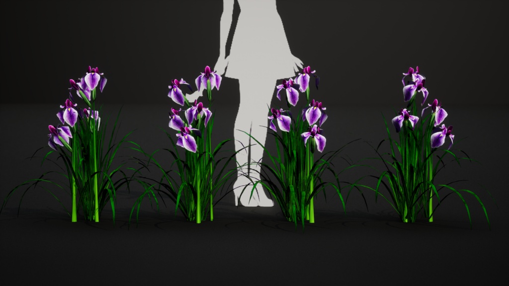 日本の優雅:ハナショウブの3Dモデル