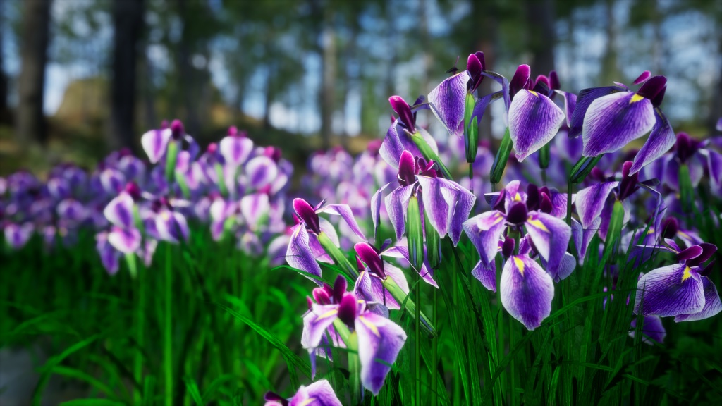 日本の優雅:ハナショウブの3Dモデル