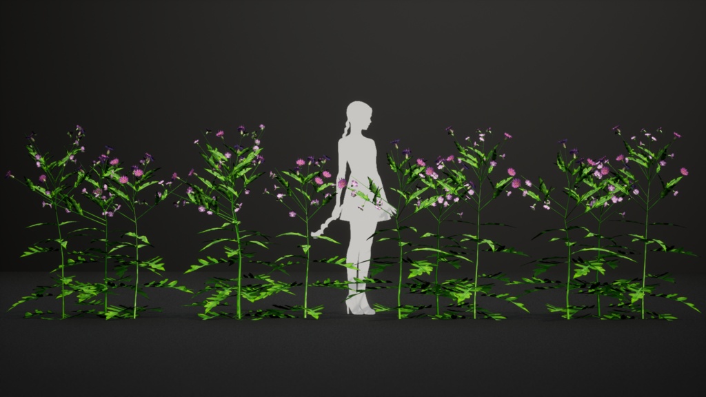 会津の宝石、アイヅヒメアザミ