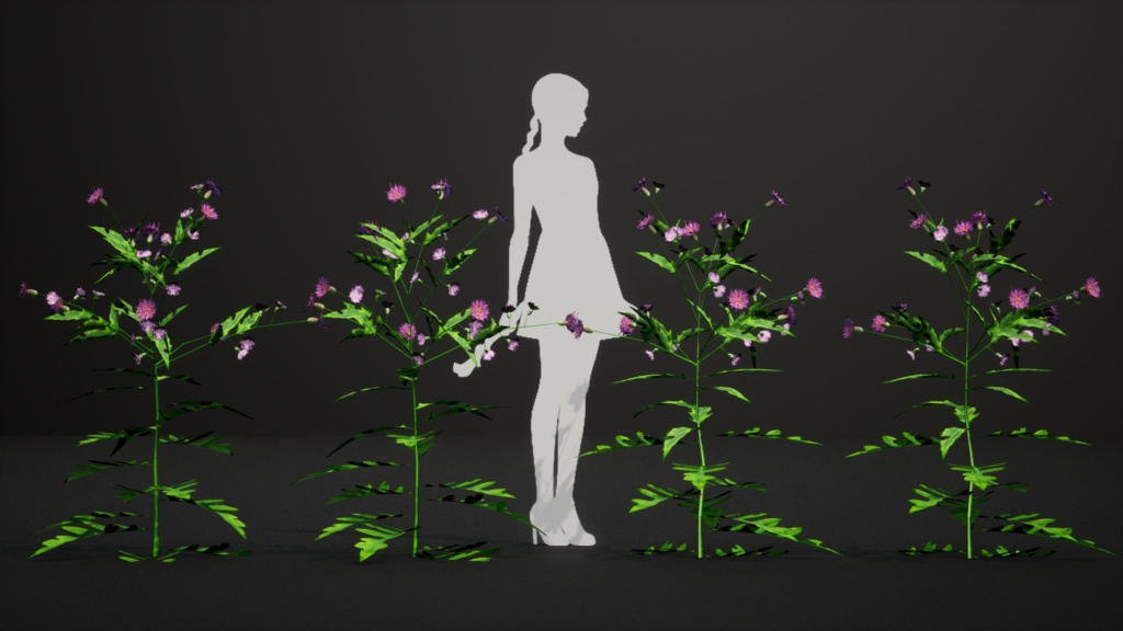 会津の宝石、アイヅヒメアザミ