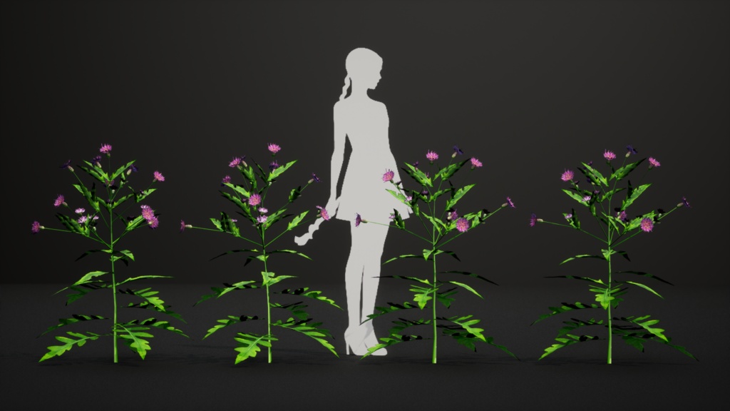 会津の宝石、アイヅヒメアザミ