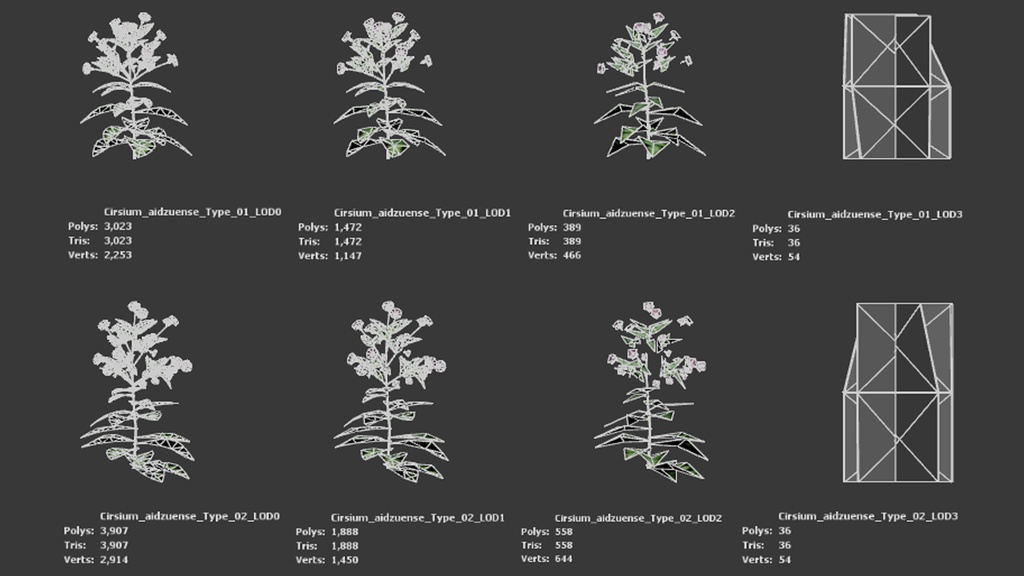 会津の宝石、アイヅヒメアザミ