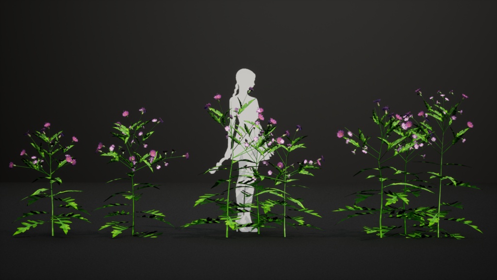 会津の宝石、アイヅヒメアザミ