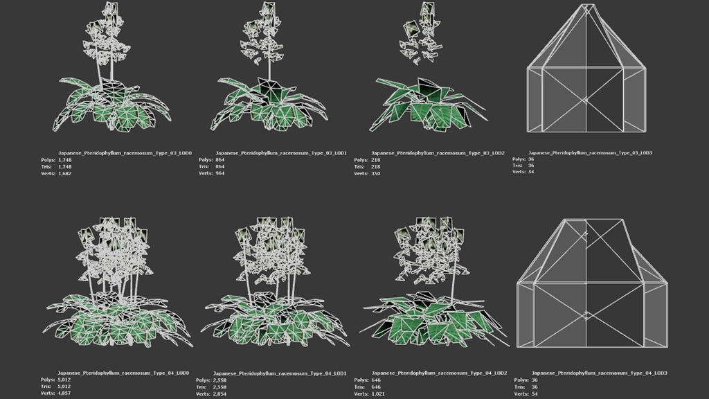 日本の宝石、セイヨウソウ