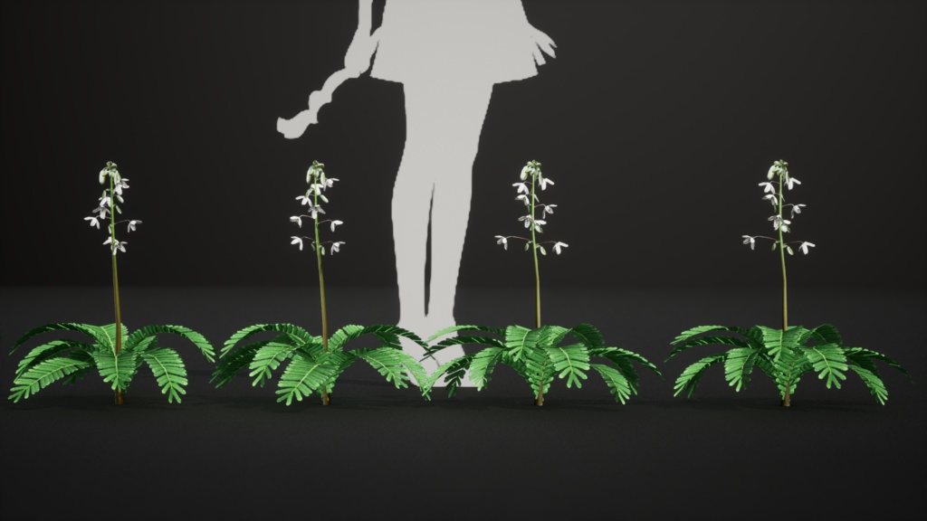 日本の宝石、セイヨウソウ