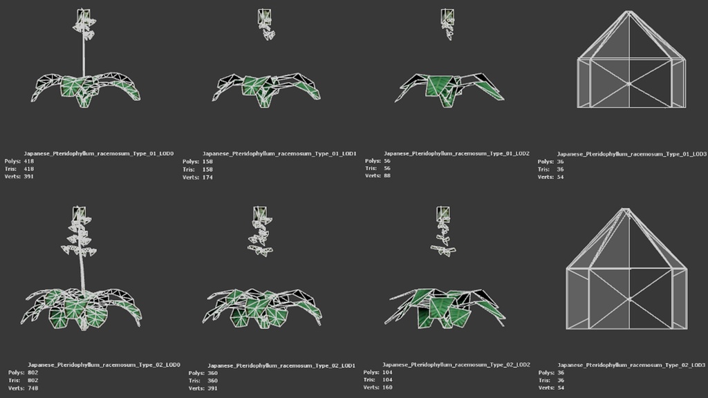日本の宝石、セイヨウソウ