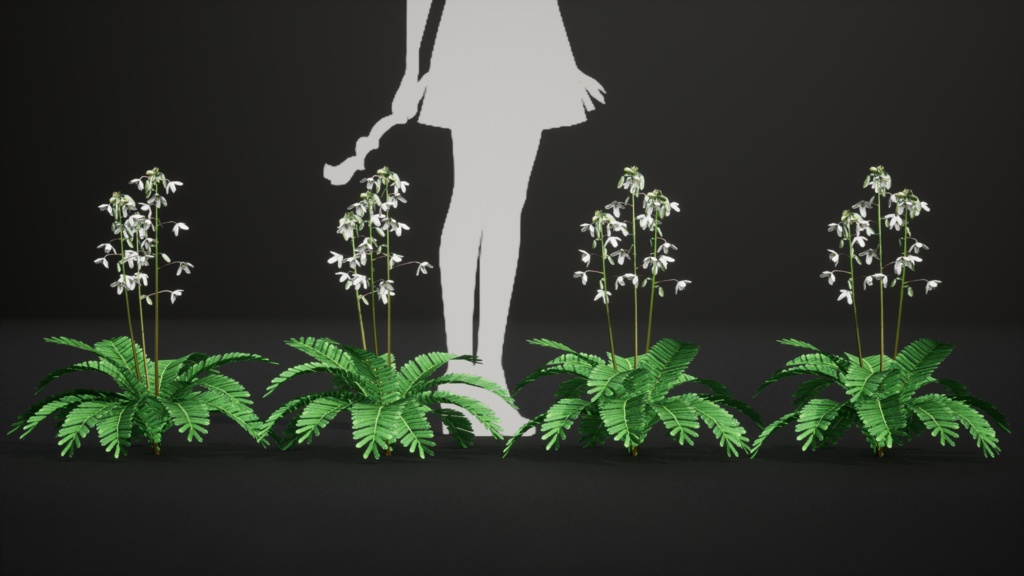 日本の宝石、セイヨウソウ