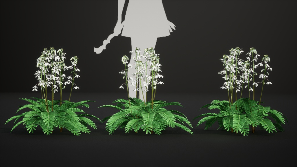 日本の宝石、セイヨウソウ