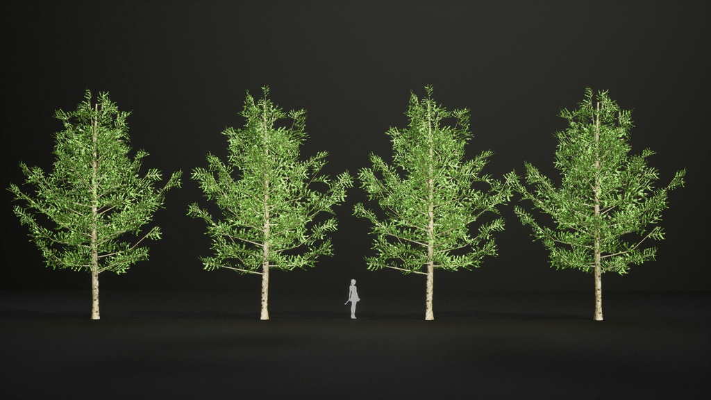 黄金の秋を彩るカラマツ