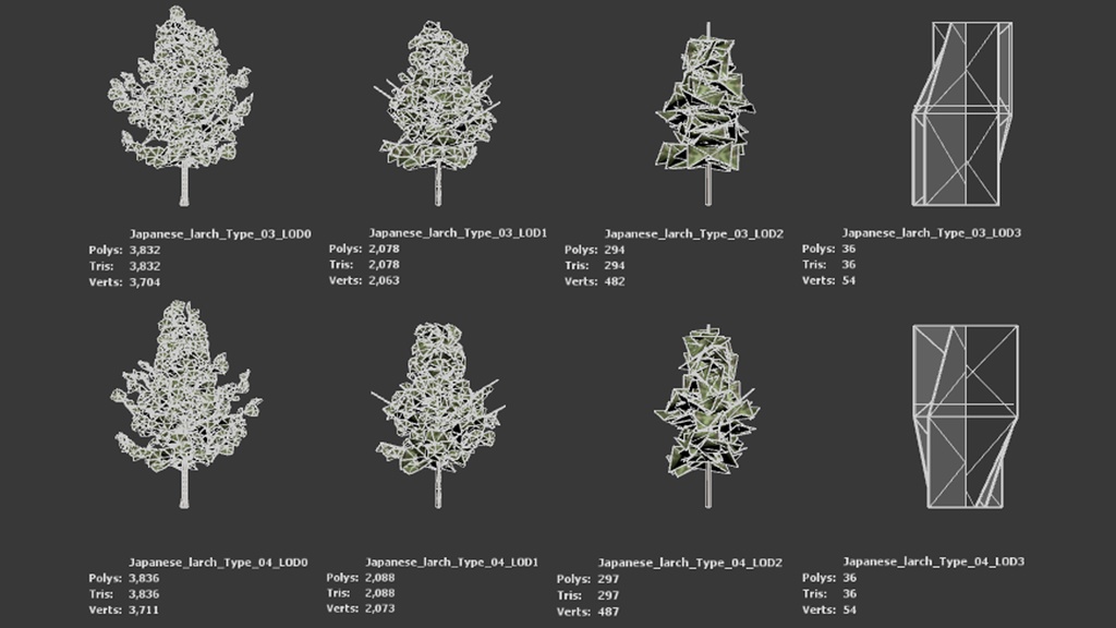 黄金の秋を彩るカラマツ