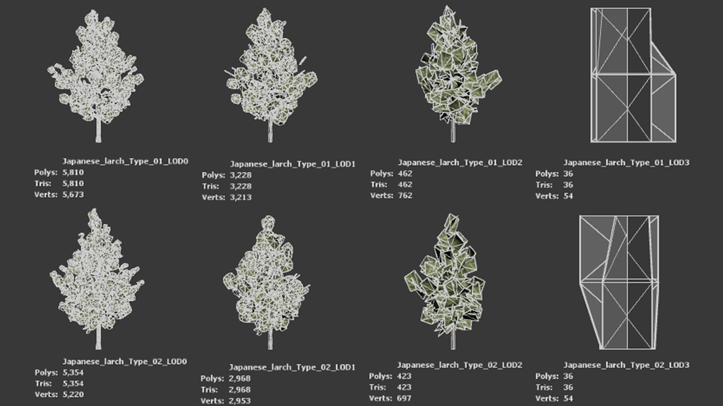 黄金の秋を彩るカラマツ