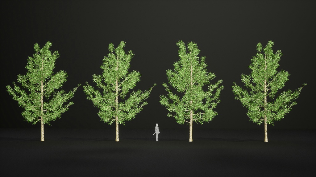 黄金の秋を彩るカラマツ